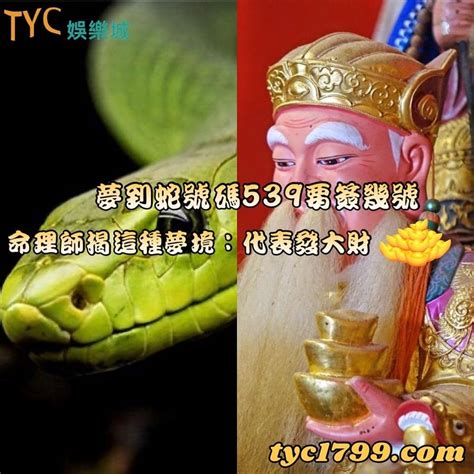 遇到蛇好運|【遇到蛇代表什麼】蛇出沒，意味著什麼？天氣炎熱時，遇到蛇快。